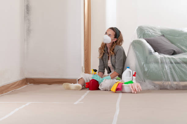 Reliable Mold Remediation contractor in Simpson, NC by Mold Remediation HQ